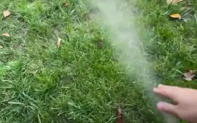 Water spraying out of the yard.